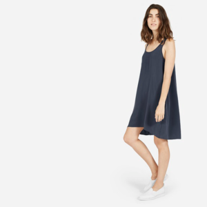 Everlane Silk Tank Dress