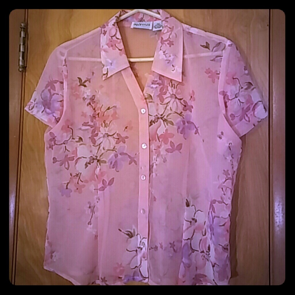 Apprenza Pink Purple Floral Sheer Blouse