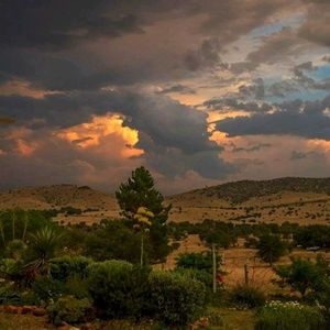 Meet your Posher, Toni