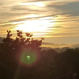 Meet your Posher, Misty