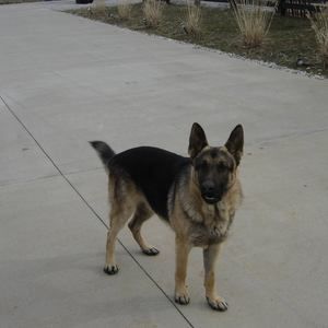 Meet your Posher, Cathy