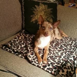 Meet your Posher, Charlotte