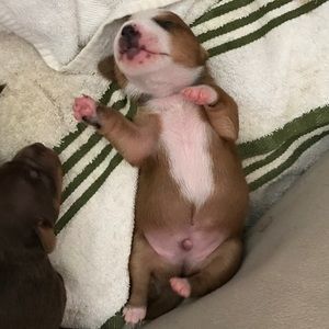 Meet your Posher, Anh