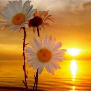 Meet your Posher, Mechelle