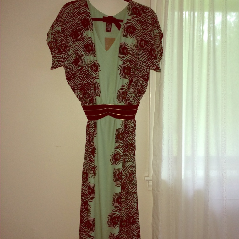 Beautiful Anthropologie Dress