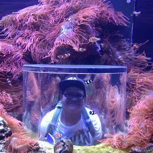 Meet your Posher, Sam