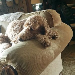 Meet your Posher, Vicki