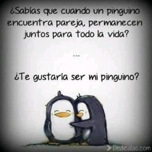 Meet your Posher, Faustino