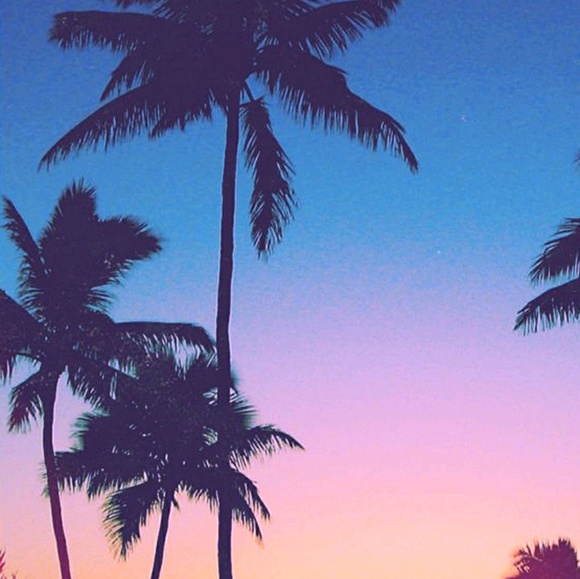 Meet your Posher, James - Picture 1 of 1