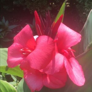 Meet your Posher, Michele