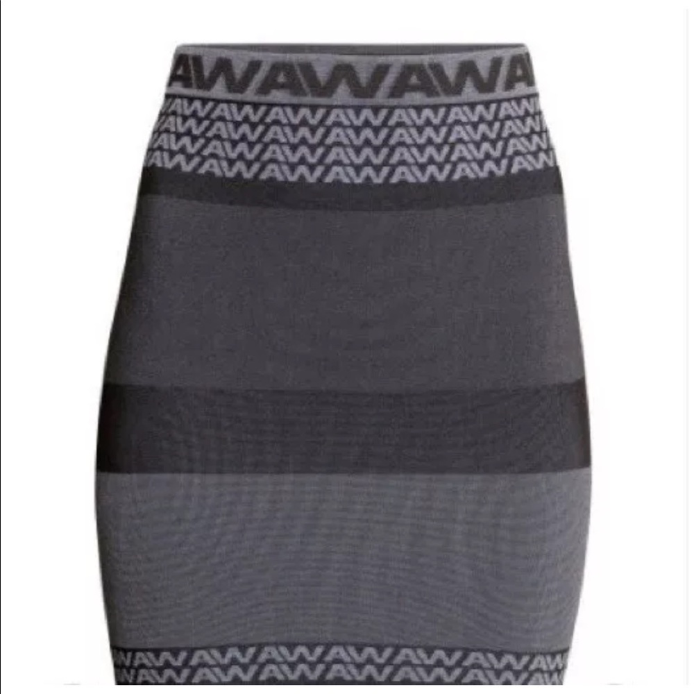 BRAND NEW ALEXANDER WANG x HM SKIRT | xs | small - Picture 2 of 2