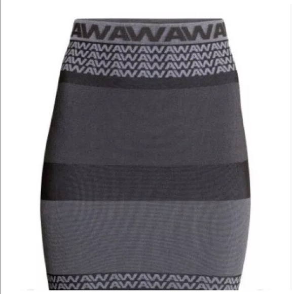 BRAND NEW ALEXANDER WANG x HM SKIRT | xs | small - Picture 2 of 2