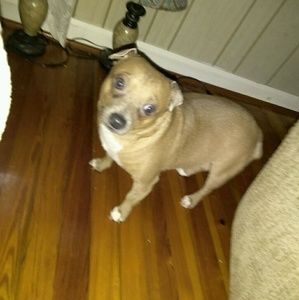 Meet your Posher, Pam