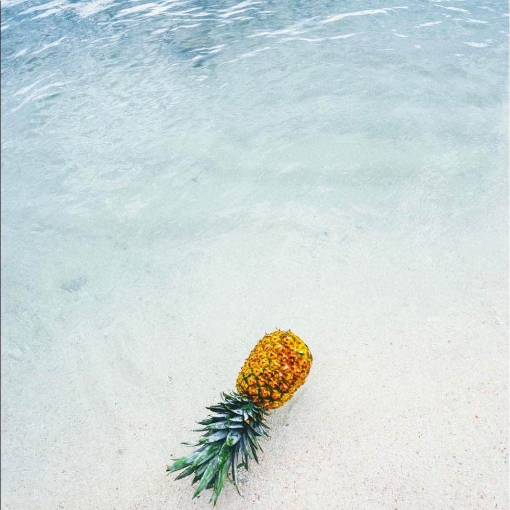 Meet your Posher, Shayna