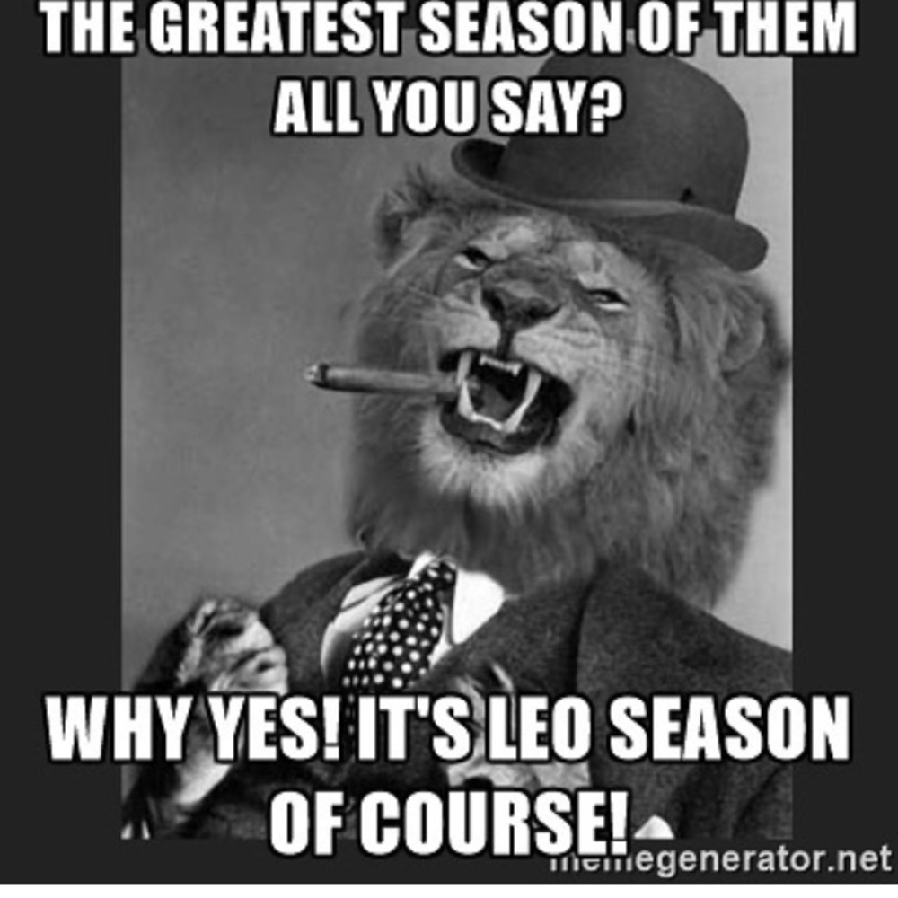 Meet your Posher, Nikia