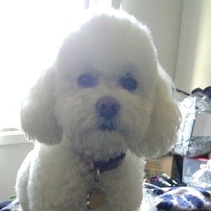 Meet your Posher, Michelle