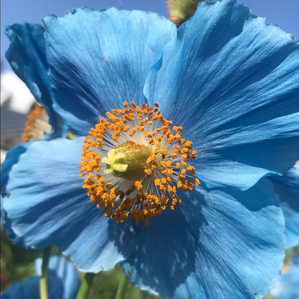 Meet your Posher, Kaysta