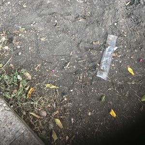 Meet your Posher, Lavanta