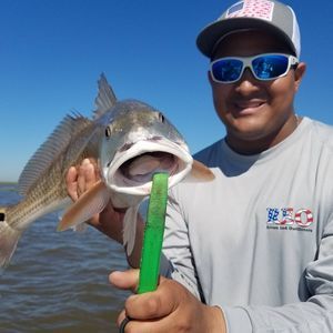 Meet your Posher, Albert