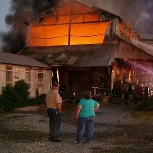 Meet your Posher, Bobbie