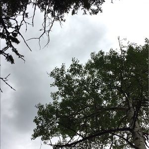 Meet your Posher, Mac