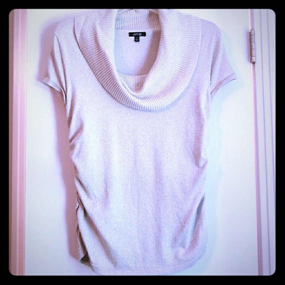 Sparkly Scoop Neck Top