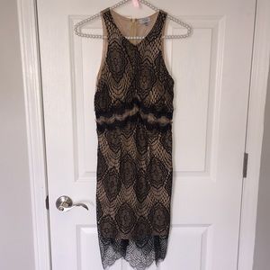Tobi black and nude lace dress