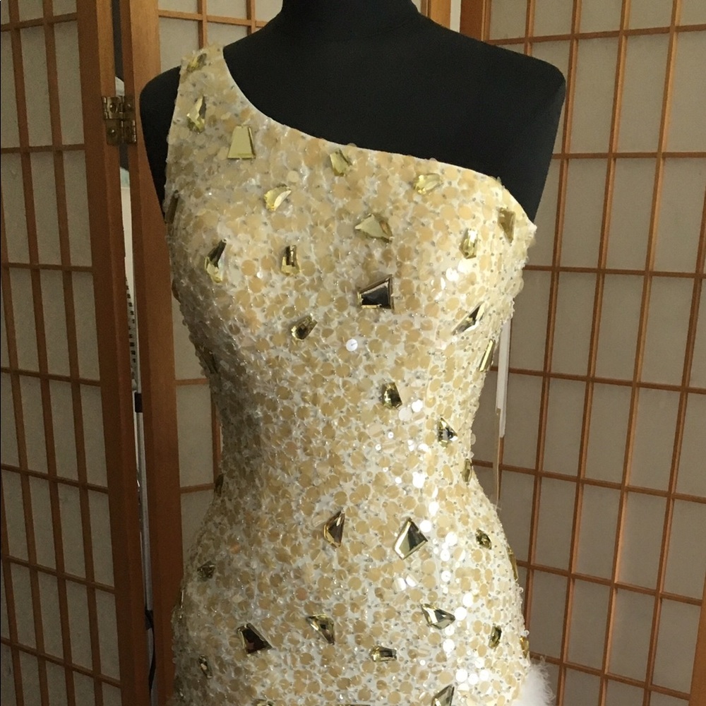 A beautiful special occasion dress