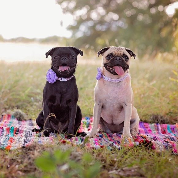 Meet Your Posher! - Picture 2 of 6