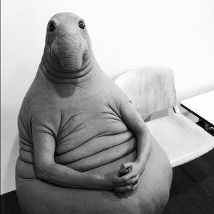 Meet your Posher, Anthony