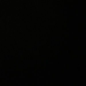 Meet your Posher, Noa