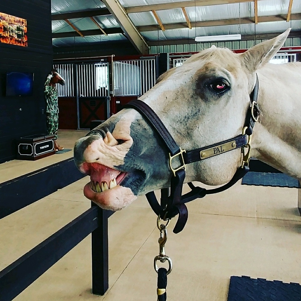 Meet your Posher, Marcy