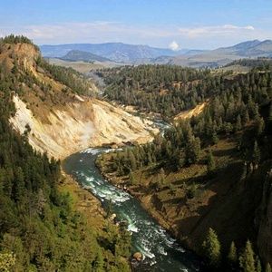 Meet your Posher, Patty