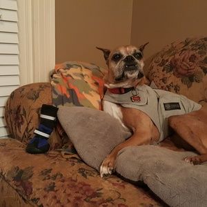 Meet your Posher, Roxanne