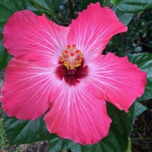 Meet your Posher, Sandy