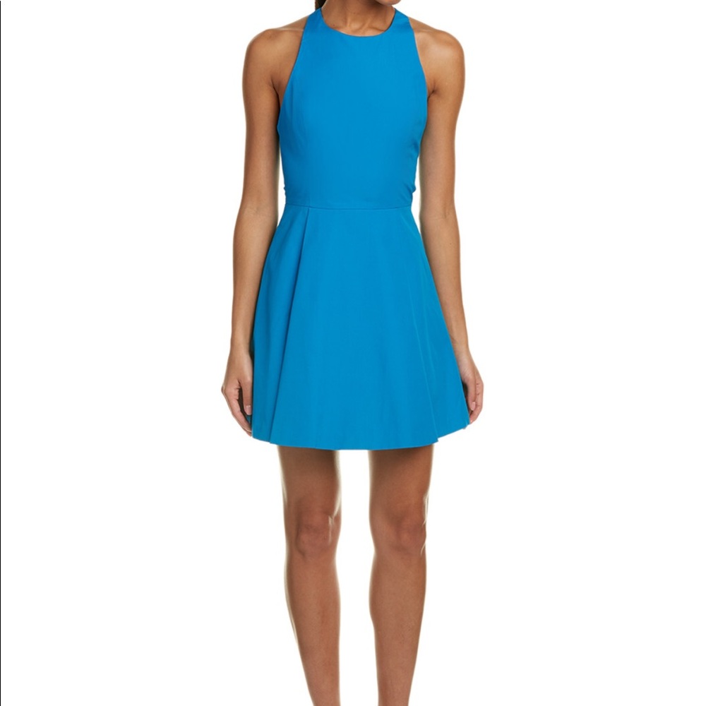 Alice and Olivia dress