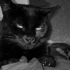 Meet your Posher, Lillian-rose