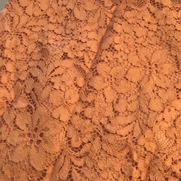 Peach Lace Pencil Skirt - Picture 3 of 4