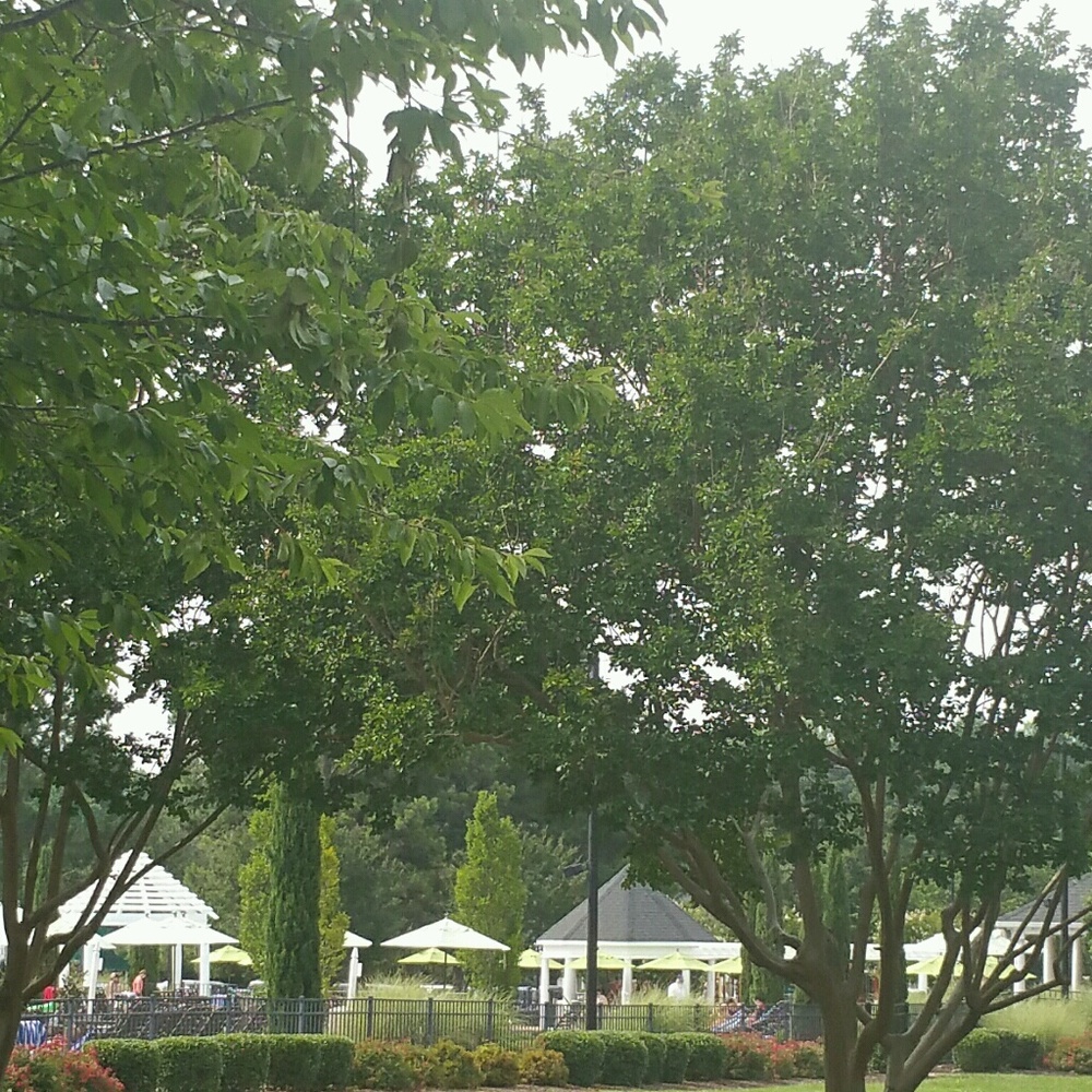 Meet your Posher, Kay