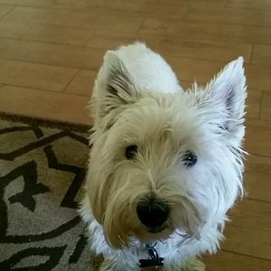 Meet your Posher, Cindy