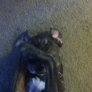 Meet your Posher, Taylor