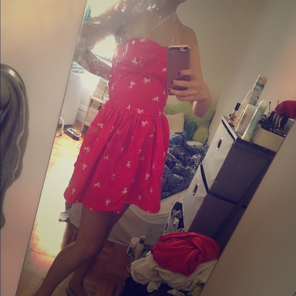 Classic Hollister Sundress