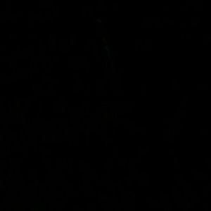 Meet your Posher, Ivan