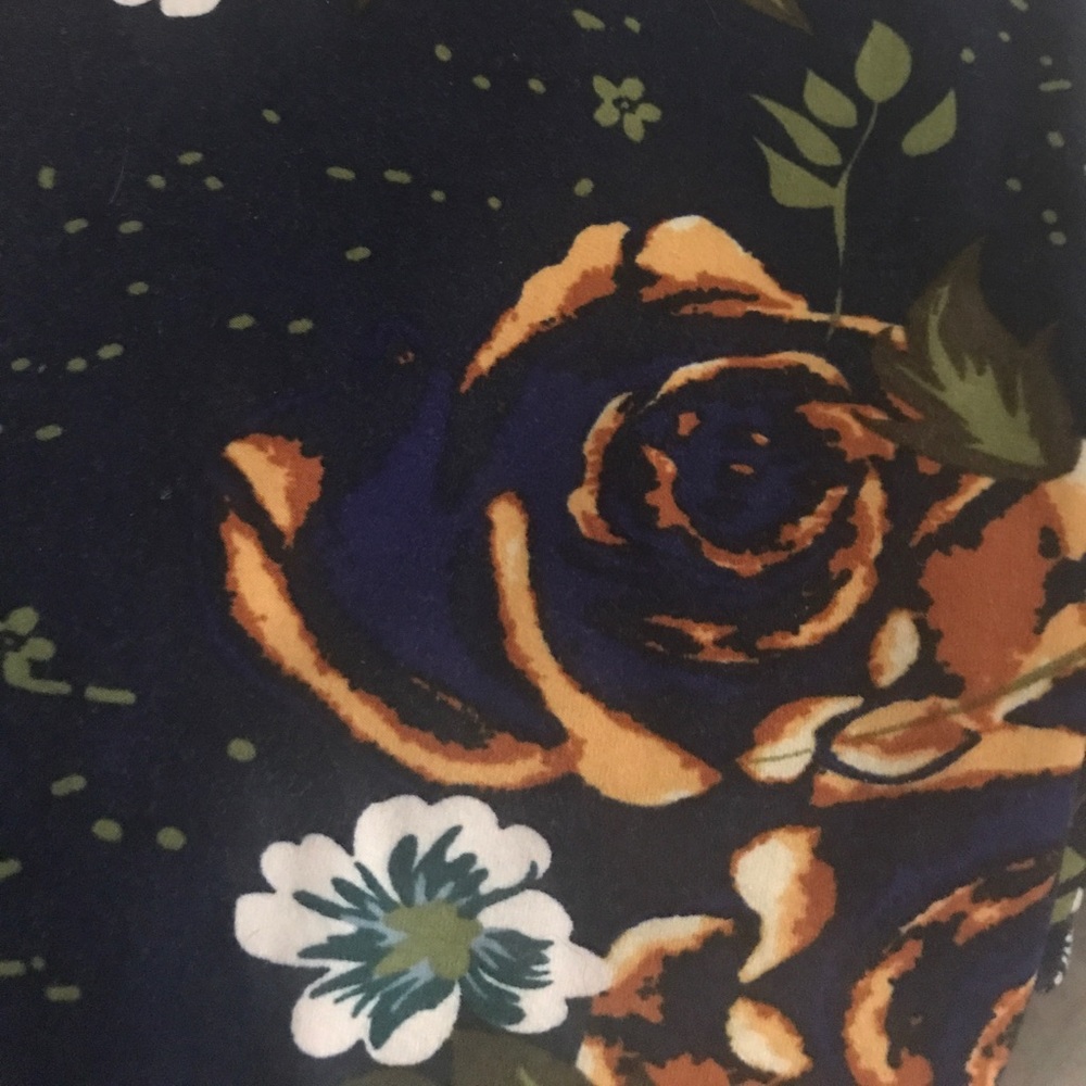Tc Disney roses