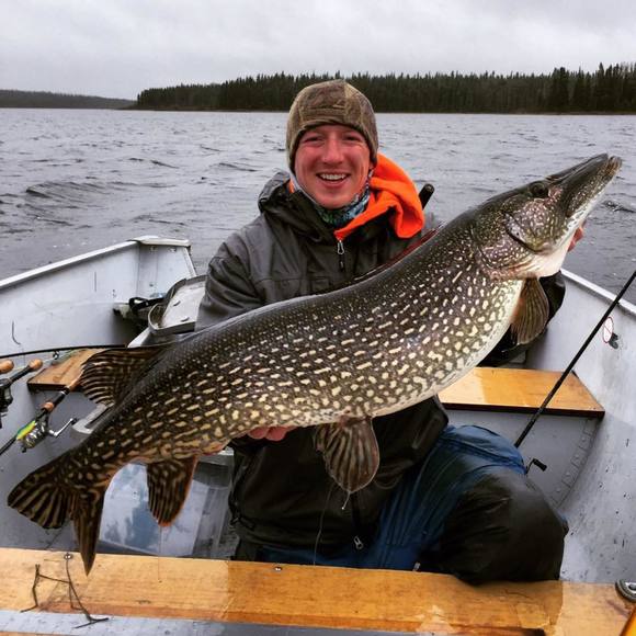 Meet your Posher, Nathan - Picture 1 of 1