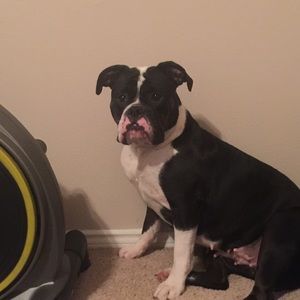 Meet your Posher, Joan