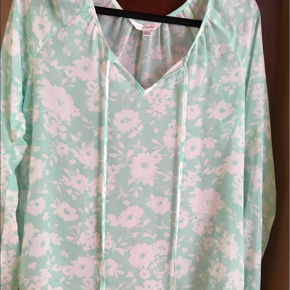 Charming Charlie sheer top