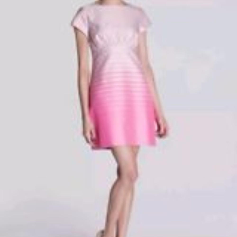 TED BAKER Parri Link Dust Pink Striped Pleat Ombre