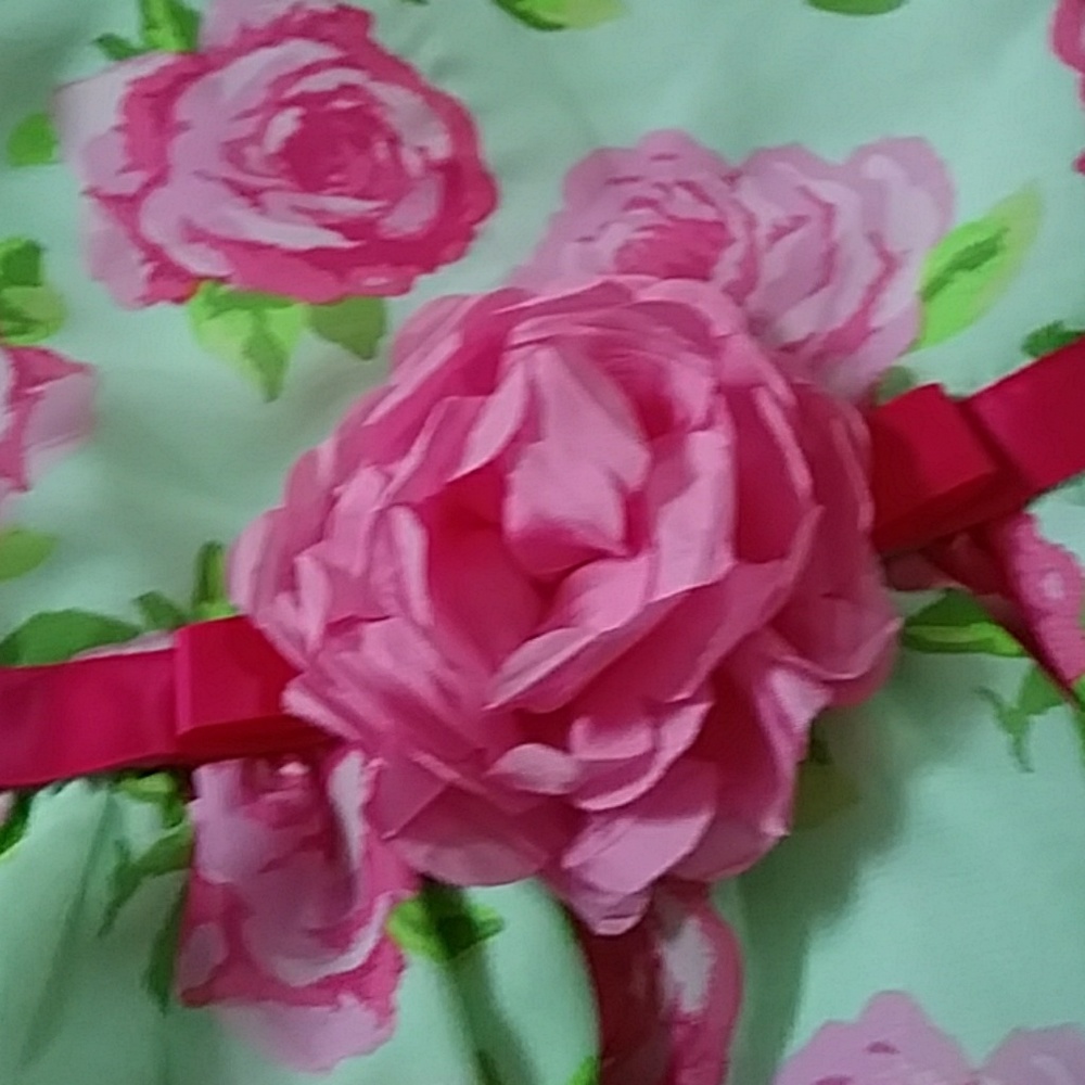 Toddlers 2t floral dress - Picture 2 of 3