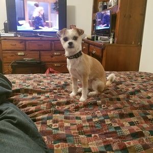 Meet your Posher, Michael